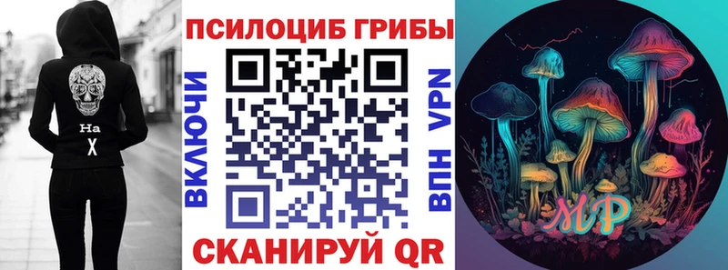 Псилоцибиновые грибы Psilocybe  Казань 