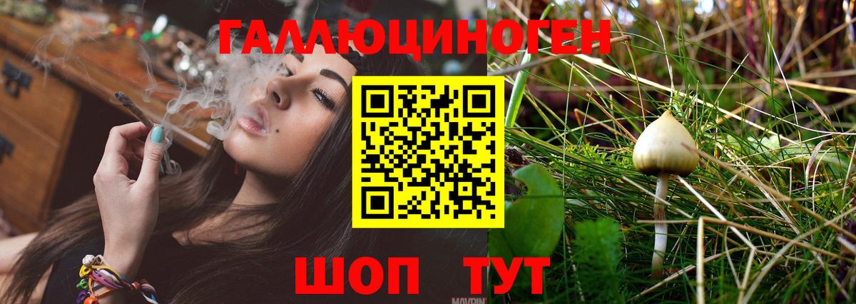 Казань  Галлюциногенные грибы MAGIC MUSHROOMS  Вход с VPN  где купить наркотик  Псилоцибиновые грибы Cubensis 