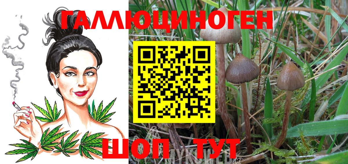 Галлюциногенные грибы Cubensis Казань
